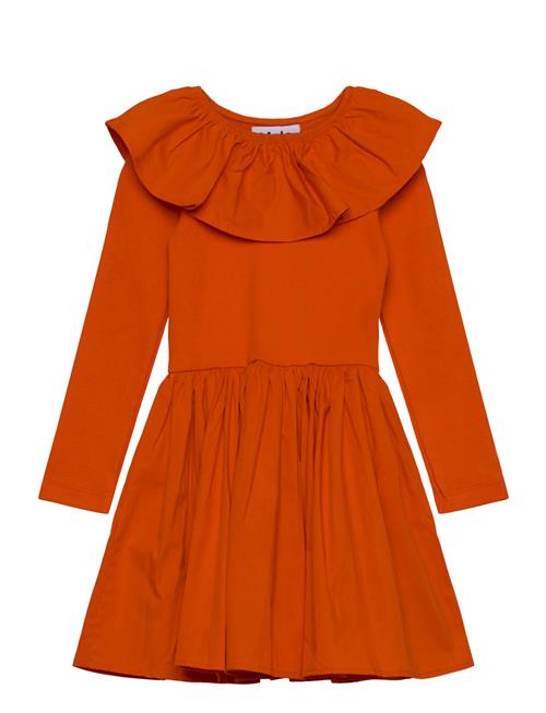 Molo | Cille | 98/104