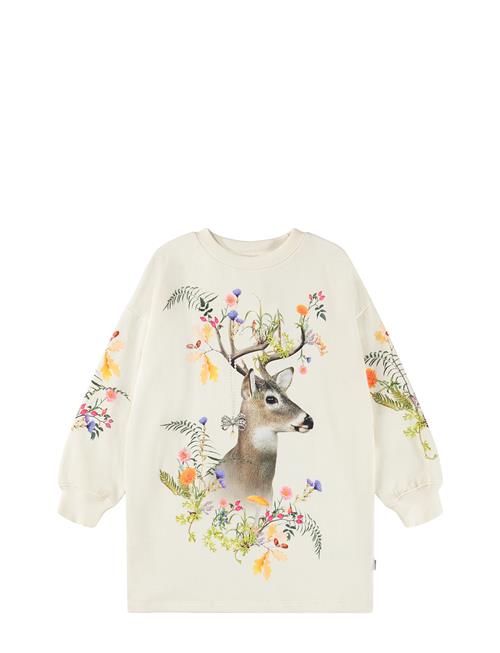 Molo | Cyrella | 146/152