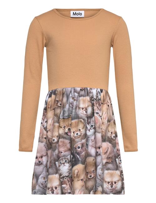 Molo | Credence | 122/128