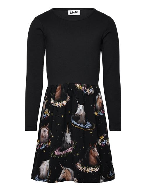 Molo | Credence | 98/104