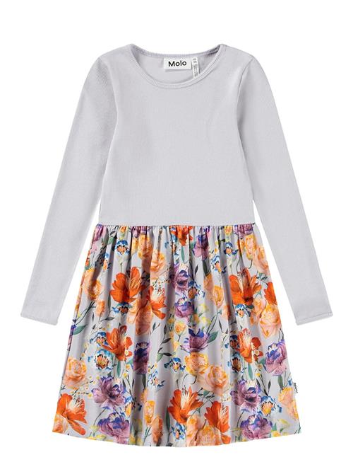 Molo | Credence | 122/128