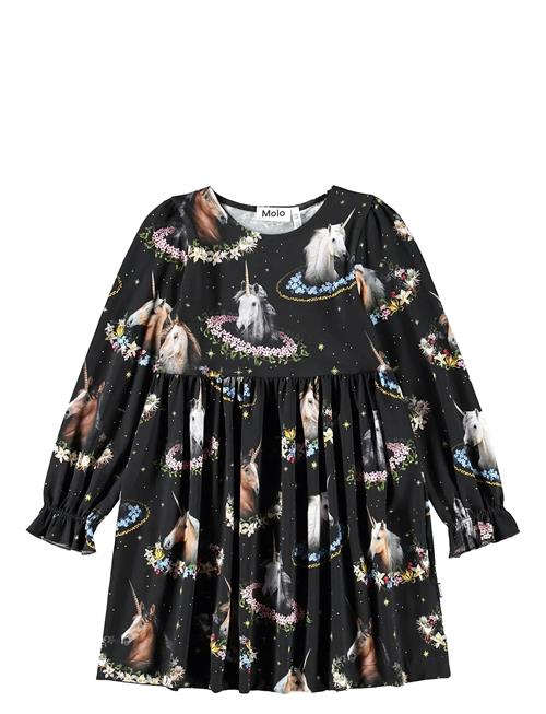 Molo | Camie | 110/116