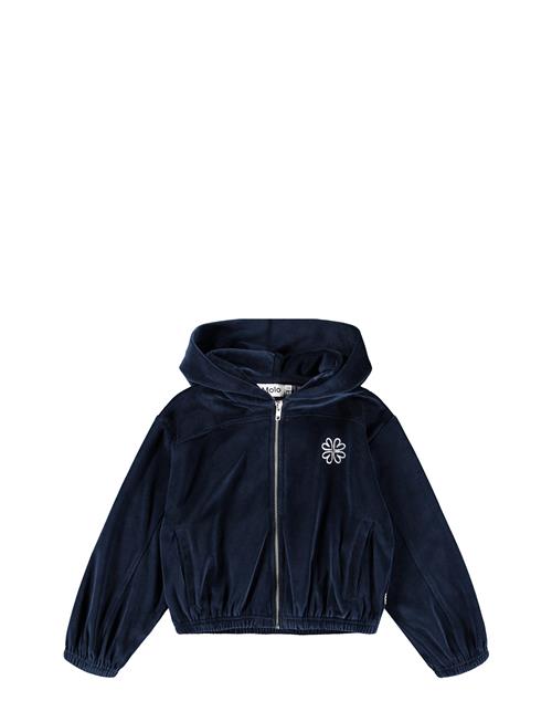 Molo | Madeleine | 110