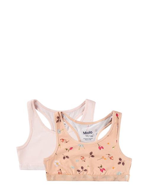 Molo | Jade 2-Pack | 146/152