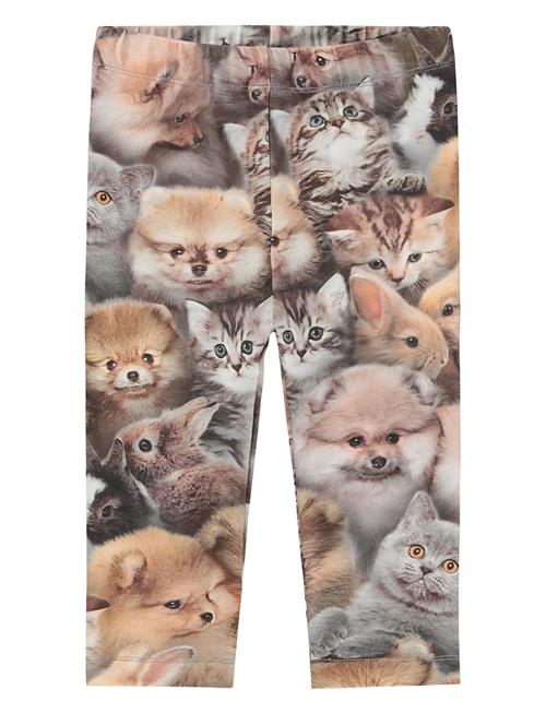 Molo | Stefanie | 80