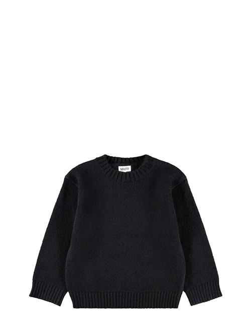 Molo | Brian | 110/116