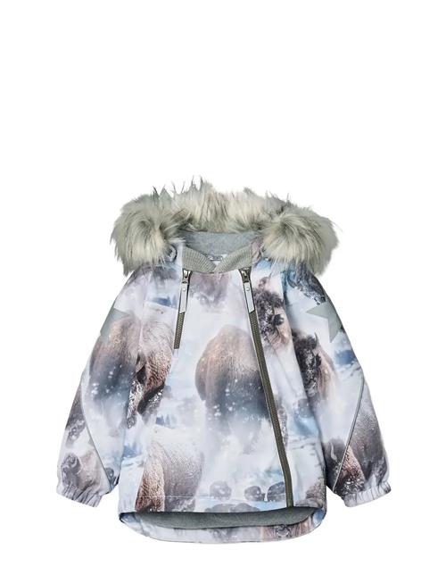 Molo | Hopla Fur | 116
