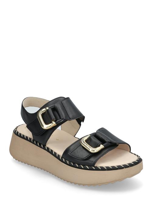Gabor | Sandal | 37