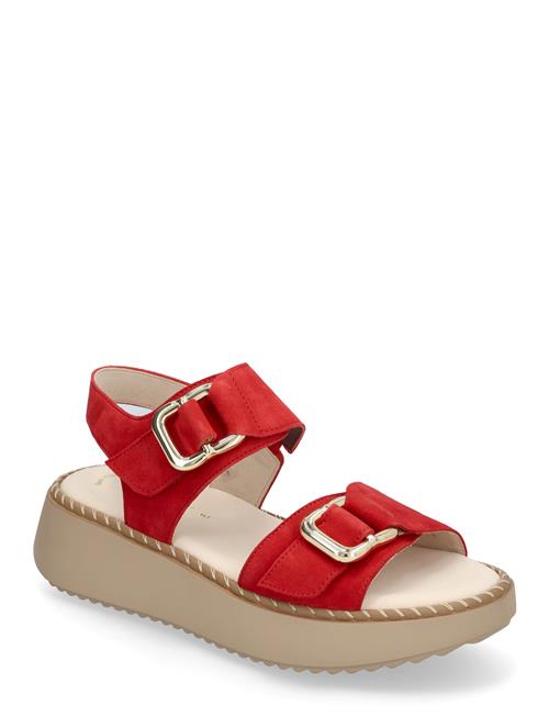 Gabor | Sandal | 40.5