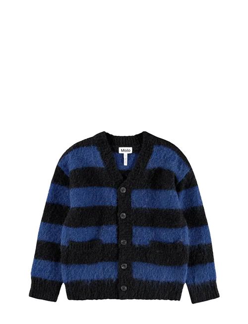 Molo | Brutus | 110/116