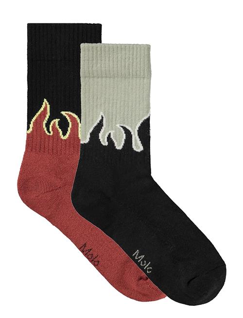 Molo | Norman | 20/22