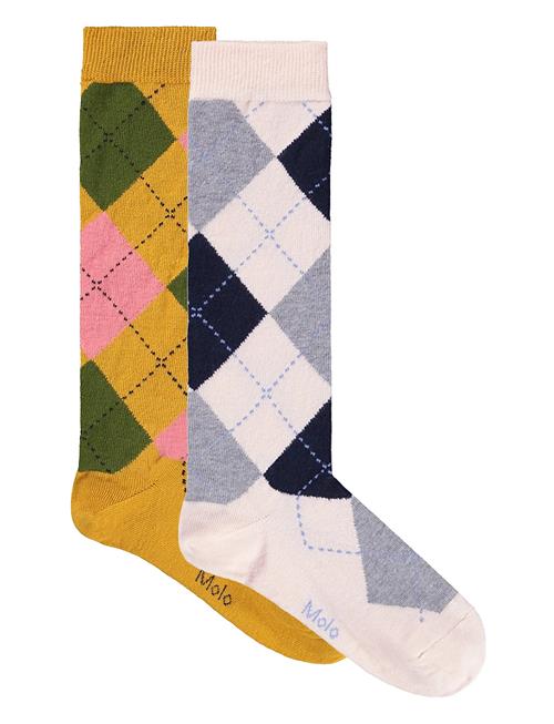 Molo | Norvina | 23/26