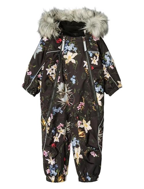 Molo | Pyxis Fur | 86