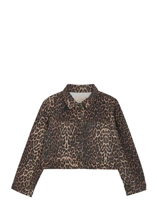 Creamie | Jacket Leo | 104