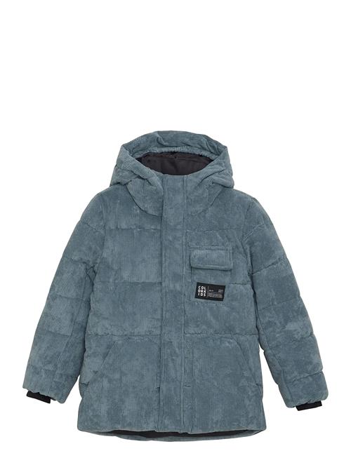 Color Kids | Jr. Puffer Jacket - Corduroy | 176