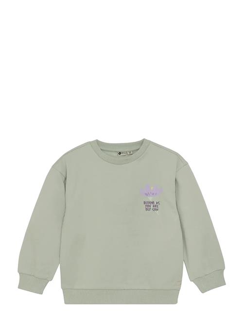 Daily 7 | Sweater Backprint | 104