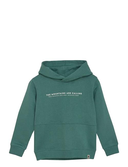 Daily 7 | Hoodie Backprint | 98