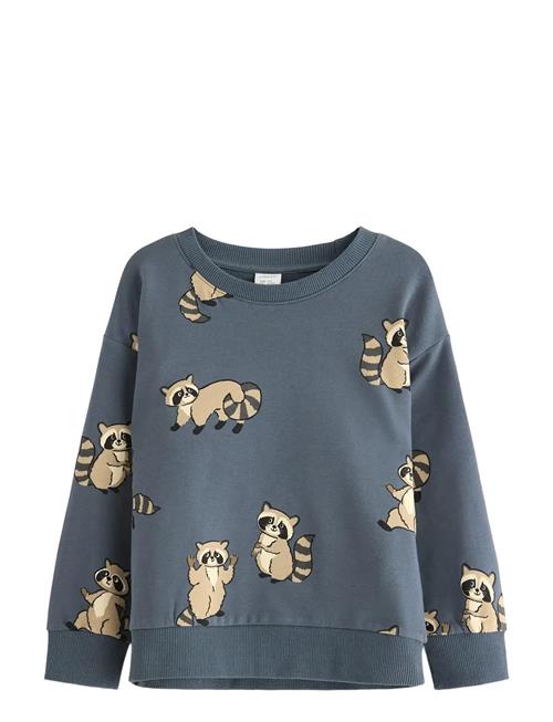 Lindex | Sweatshirt Racoon | 116