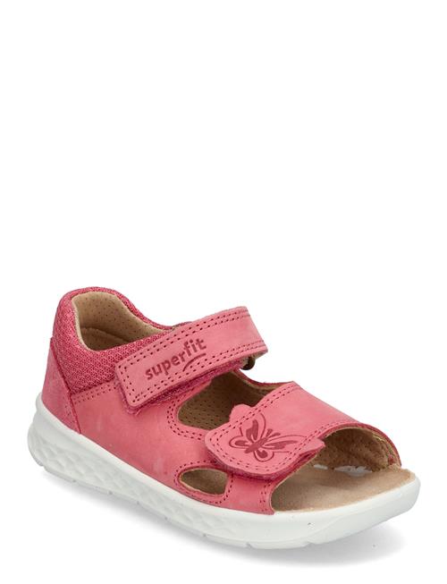 Superfit | Lagoon | 21/13.1CM