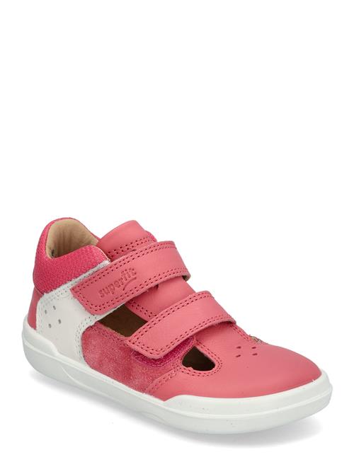 Superfit | Superfree | 22/13.7CM