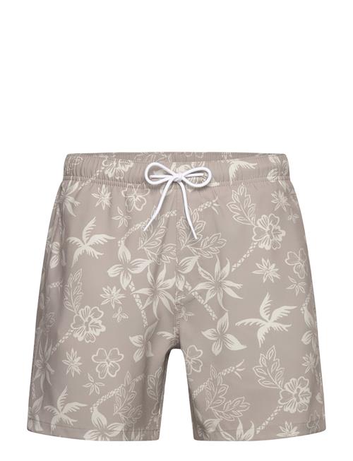 Hollister | Hco. Guys Swim | XXL