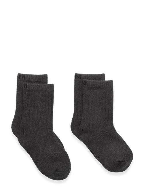 Exani | Ullstrumpa 2-Pack Jr | 31-33