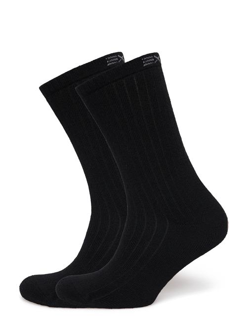 Exani | Ullstrumpa 2-Pack W | 41-45