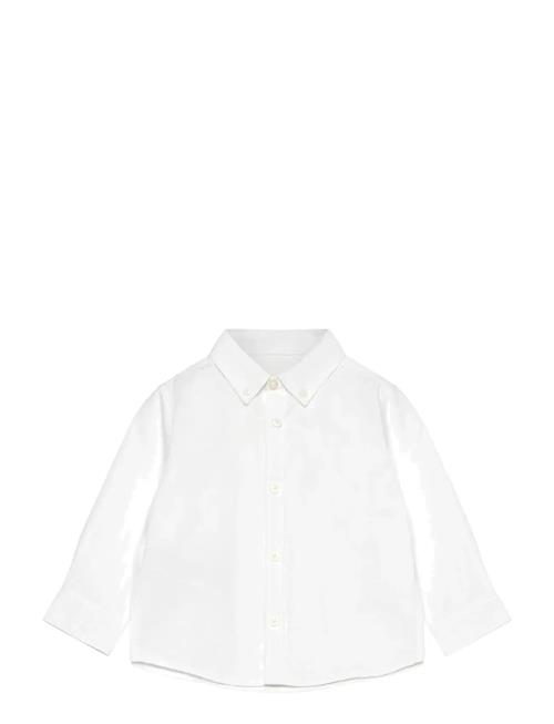 Mango | Oxford Cotton Shirt | 2-3