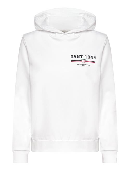 GANT | Reg Graphic Hoodie | L