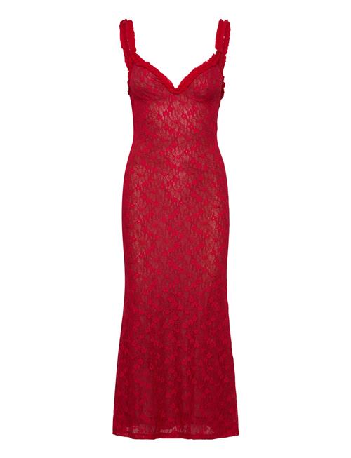 Bardot | Alegra Stretch Lace Midi Dress | 36