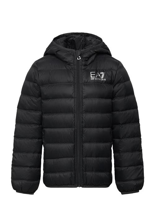EA7 | Down Jacket | 140