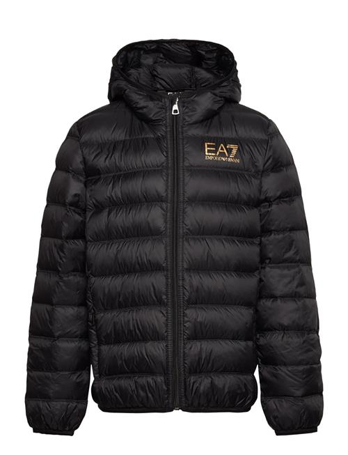 EA7 | Down Jacket | 152