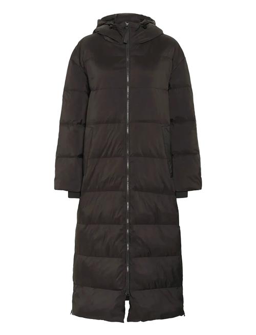 Part Two | Safirpw Otw | 44