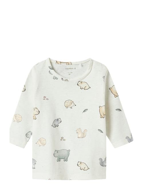 name it | Nbnluma Ls Top | 62