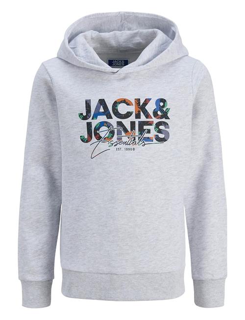Jack & Jones | Jjgeplas Sweat Hood Mni | 110