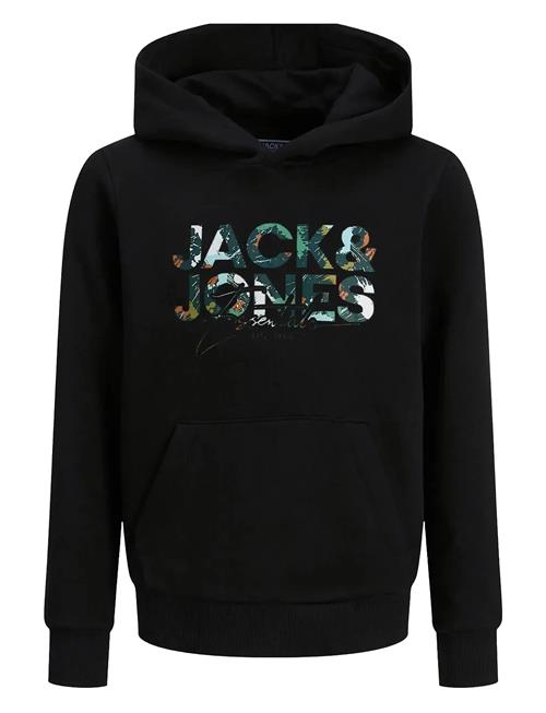 Jack & Jones | Jjgeplas Sweat Hood Mni | 116