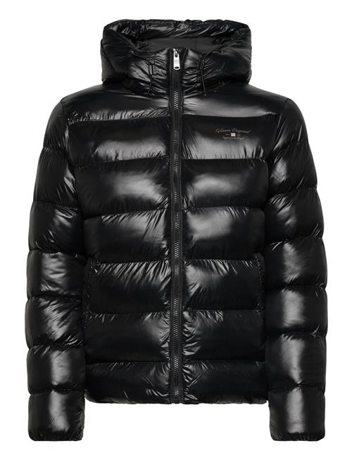 VINSON | Gaia Reg Cr Vin W Otw | XXL