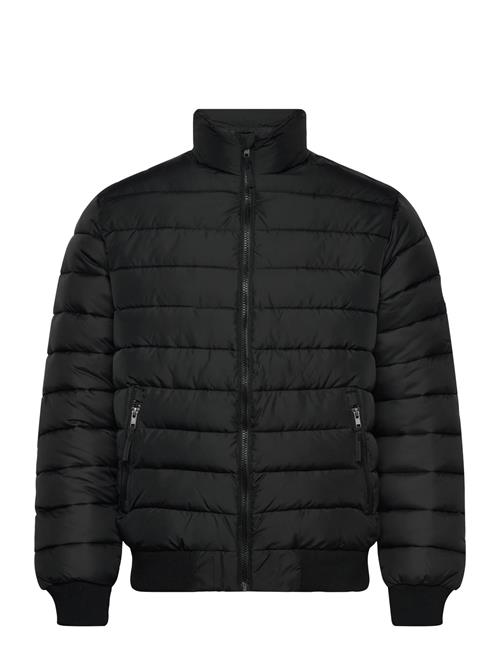 VINSON | Glen Reg Vin M Otw | L