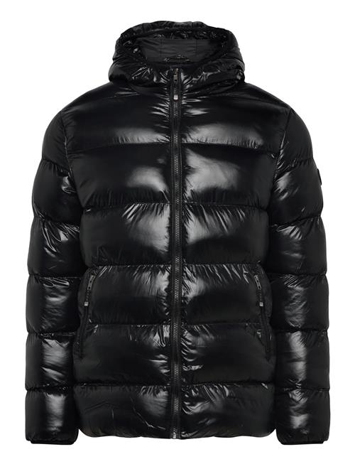 VINSON | Gustav Reg Vin M Otw | L