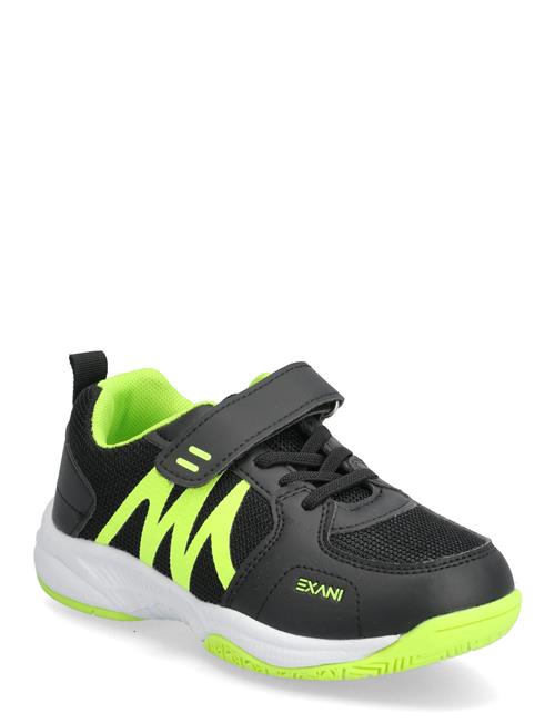 Exani | Zephyr Jr | 31