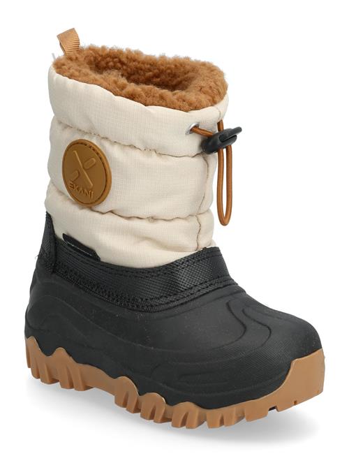 Exani | Aspen K | 23