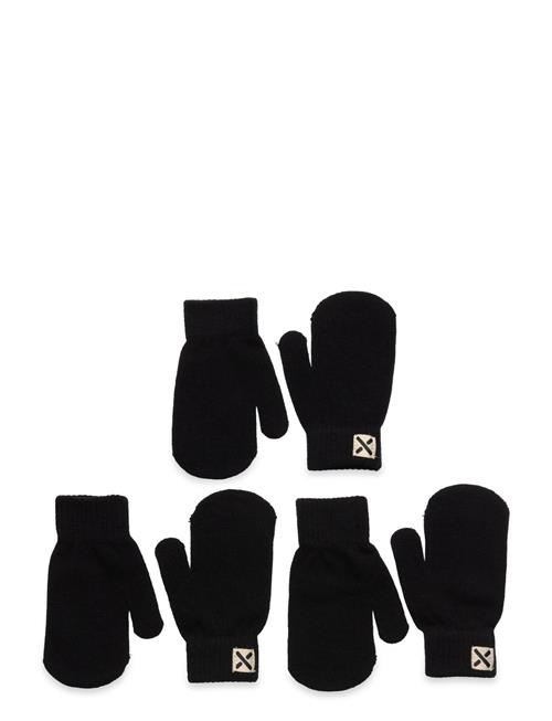 Exani | Happy K | S- 2/3Y