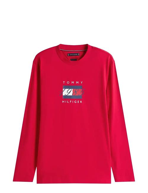Tommy Hilfiger | Linear Flag Graphic Ls Tee | M
