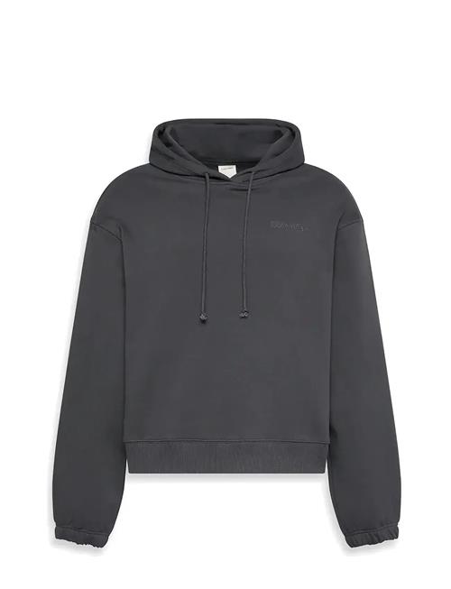 Calvin Klein | L/S Hoodie | L