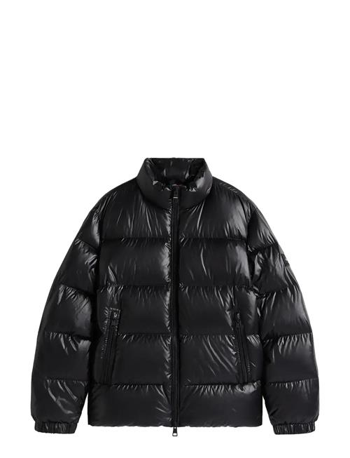 Tommy Hilfiger | Shiny Down Stand Puffer | XXXL