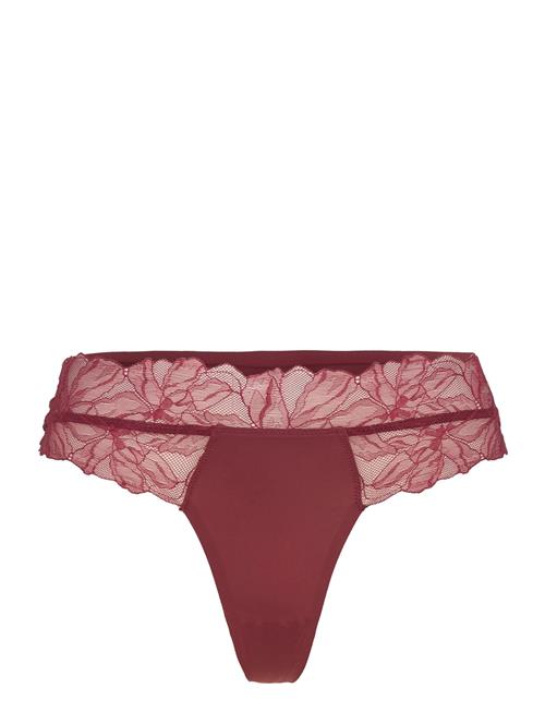 Calvin Klein | Thong | M