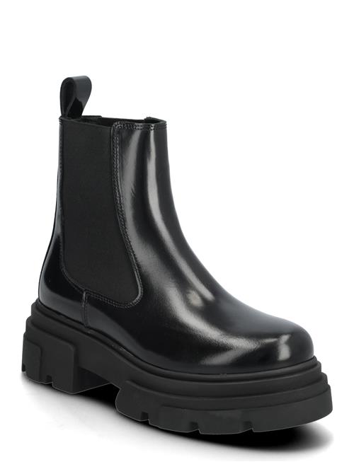 Tommy Hilfiger | Th Shiny Leather Chelsea | 41