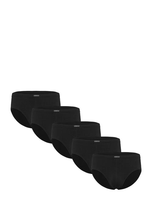 Lindbergh | 5Pk Minislip | S