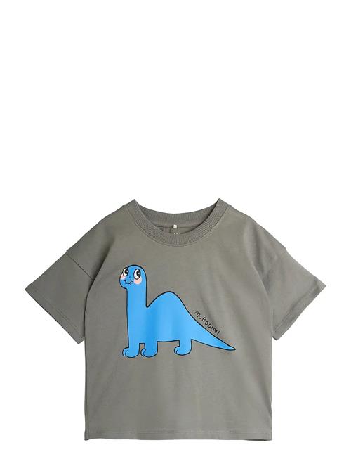 Mini Rodini | Dino Sp Ss Tee | 56/62