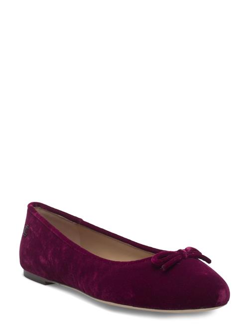 Lauren Ralph Lauren | Jayna Iii Velvet Flat | 38